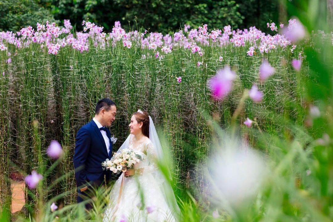 Shane Chua Photography