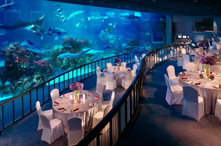 S.E.A. Aquarium