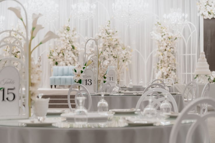 Amaris D'Arena Ballroom