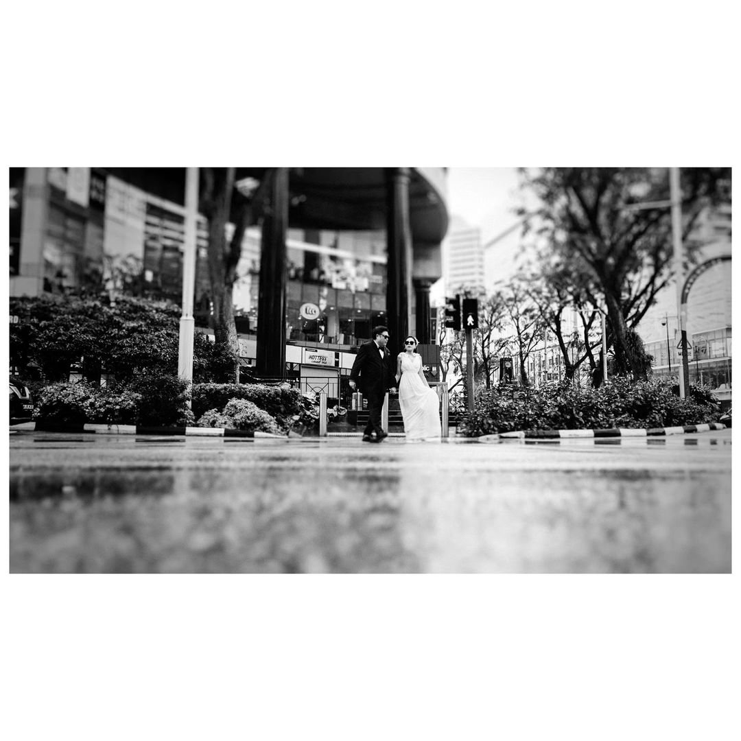 thegaleria